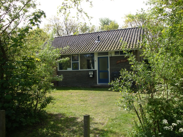 DSC03768